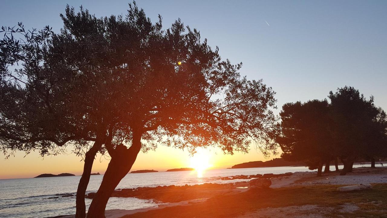 Apartments Alea Rovinj Bagian luar foto