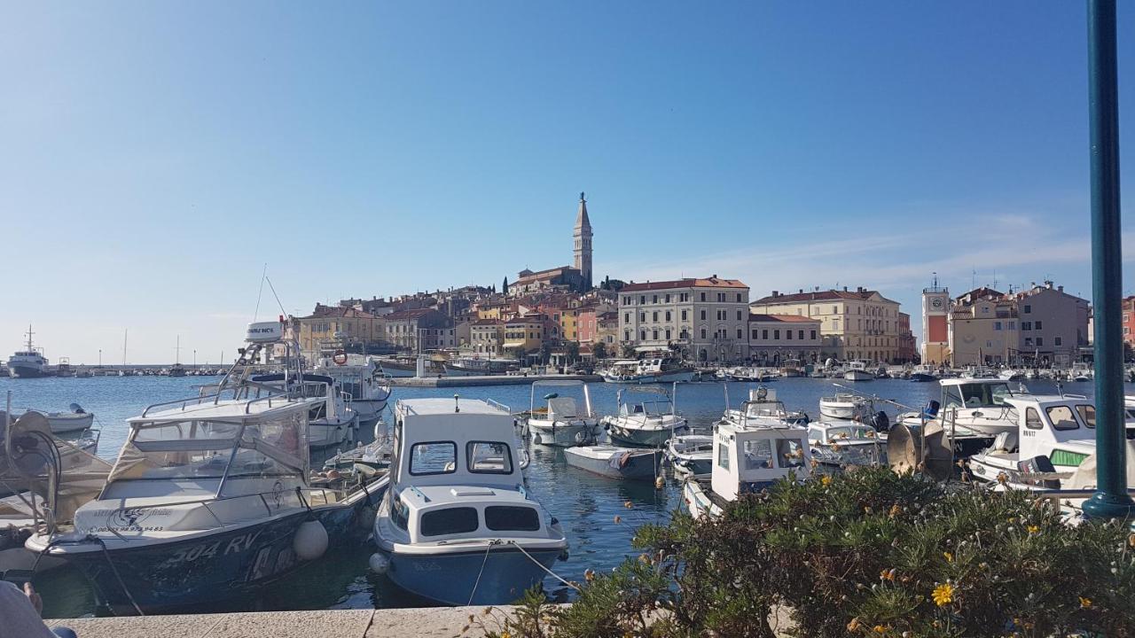 Apartments Alea Rovinj Bagian luar foto